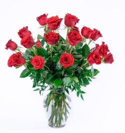 Two Dozen Red Roses Arranged Beautifully