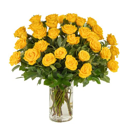 Three Dozen Yellow Roses