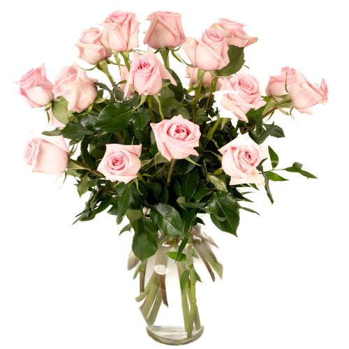 18 Soft Pink Roses 